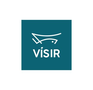 Visir