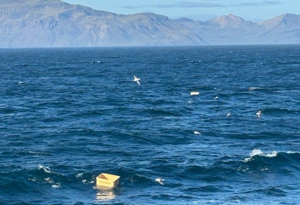 Additional image 1